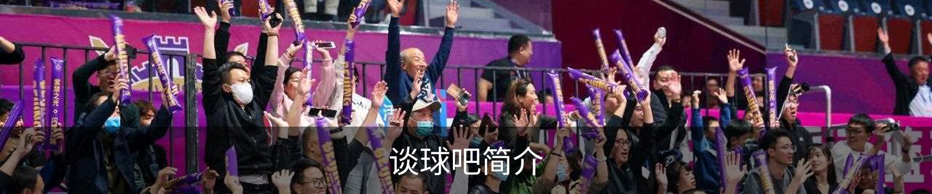 谈球吧简介